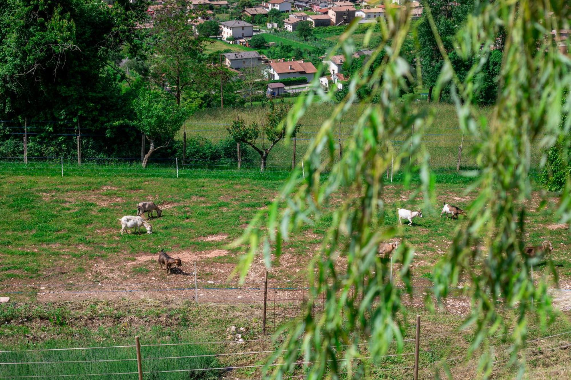 Agriturismo Riva dei Coz Sequsino Exterior foto